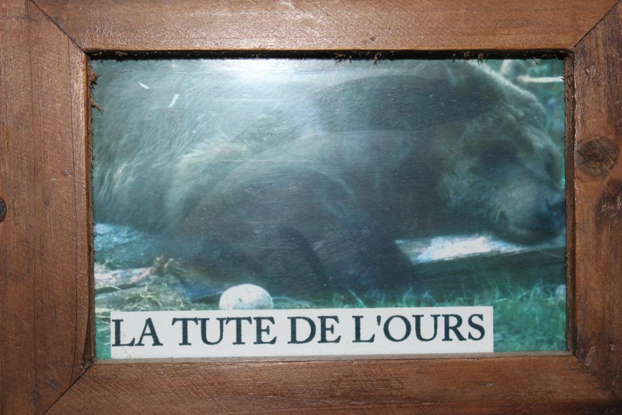 Maison De Charme Calme Entouree De Montagne Ussat 外观 照片