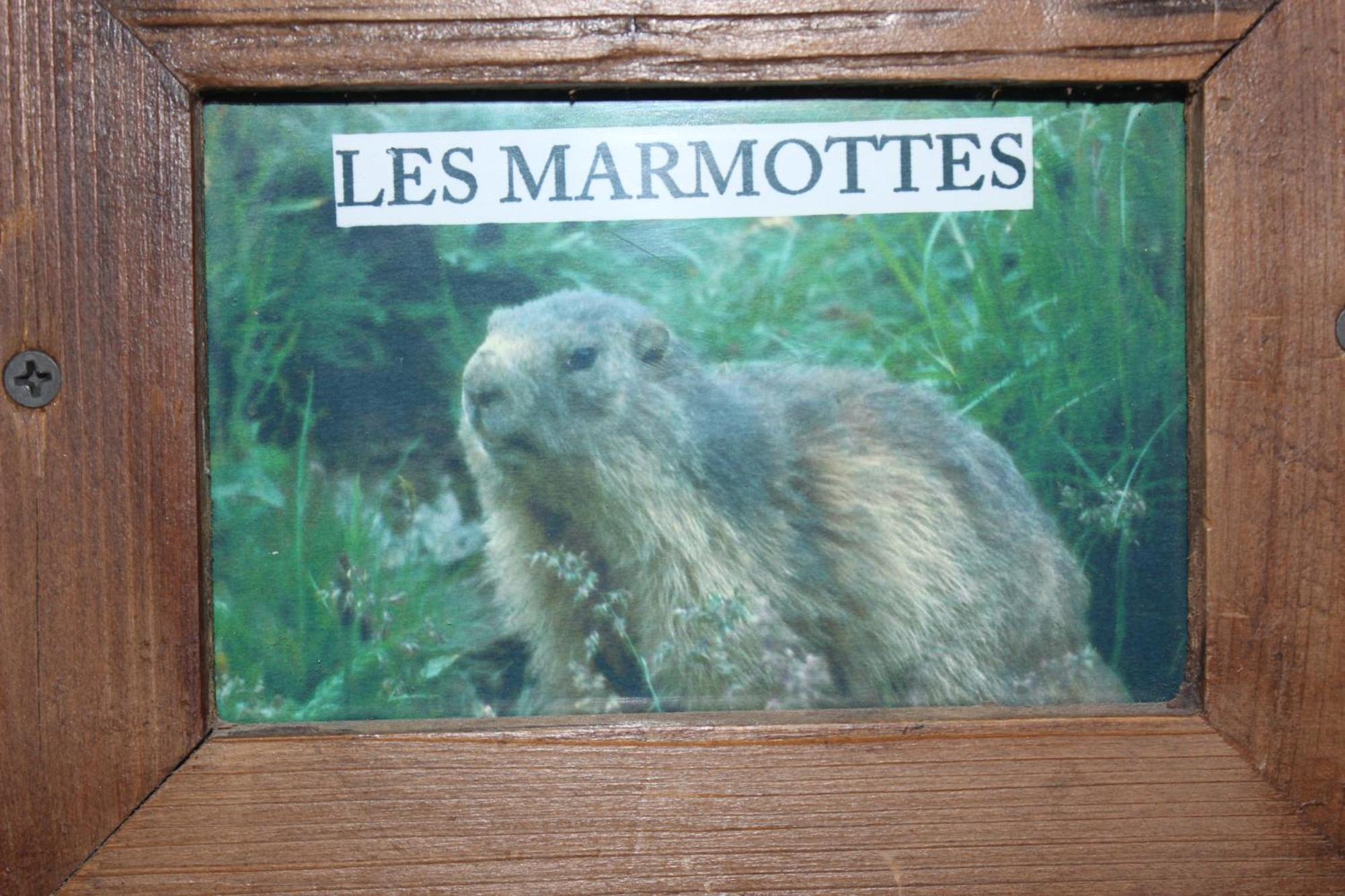 Maison De Charme Calme Entouree De Montagne Ussat 外观 照片